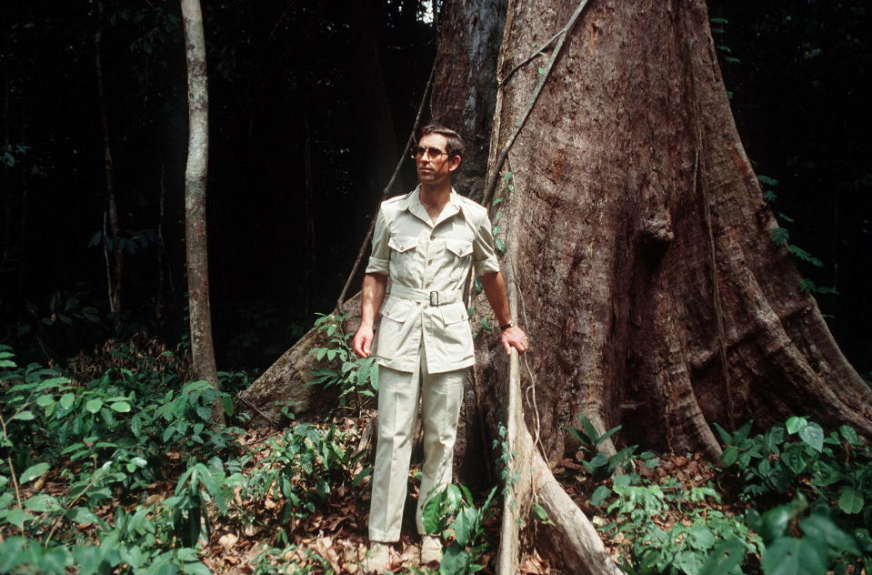 Prince Charles on a visit to a rainforest in Cameroon to raise awareness of deforestation in 1990.<span class="copyright">Tim Graham —Getty Images</span>