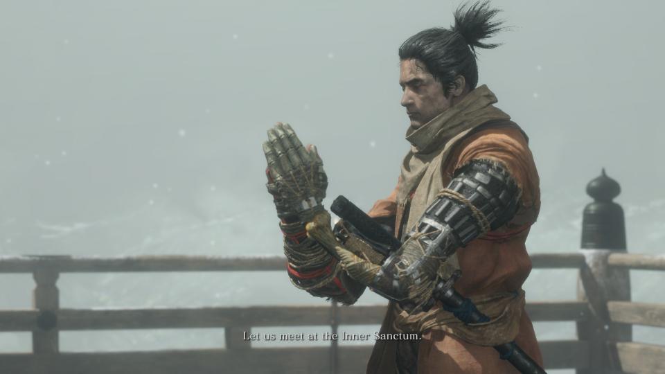 Wolf from Sekiro praying