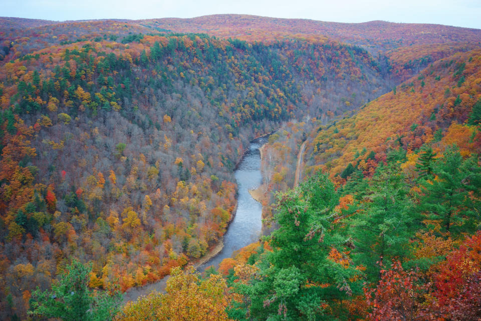 Allegany State Park, NY.