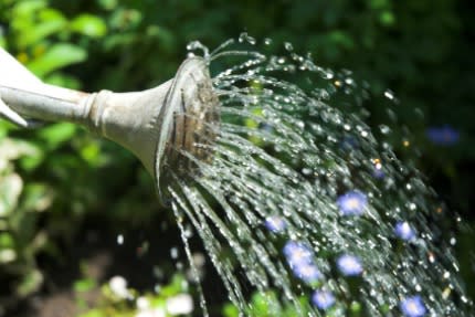 <div class="caption-credit"> Photo by: iStockphoto</div><b>Water Your Grass <br></b> Have you heard the saying that the "grass is greener where you water it?" Stop focusing on the lawns (lives) of other couples, stop wanting what other people have and instead, put more time and energy into taking care of what you have.