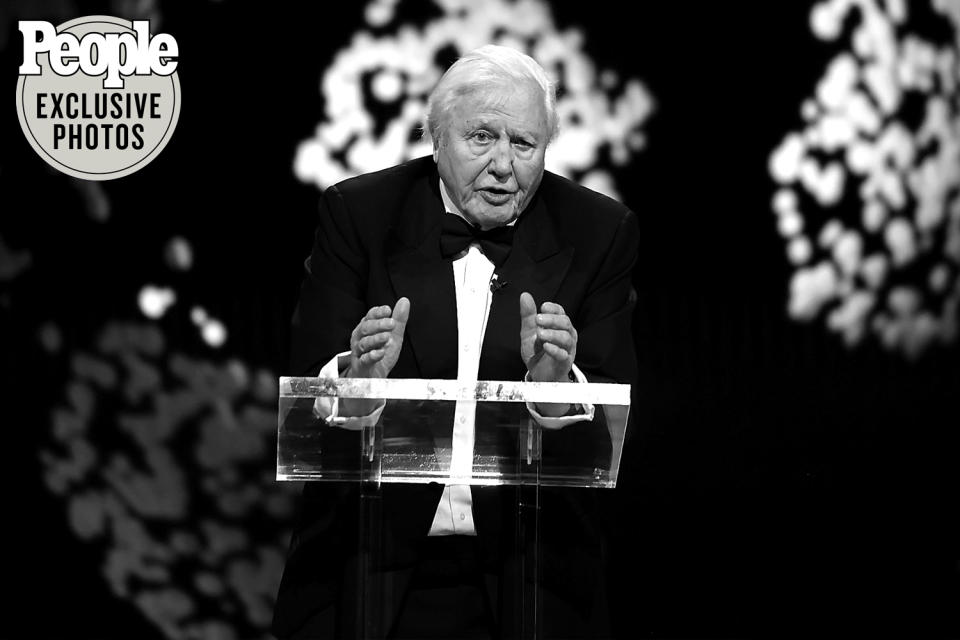 <p>Legendary environmental filmmaker Sir David Attenborough took the stage to honor the 15 finalists "finding solutions to the world's challenges."</p>