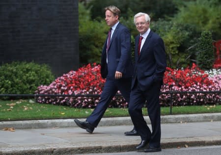 Britain's Secretary of State for Exiting the European Union David Davis walks outside Downing Street in London