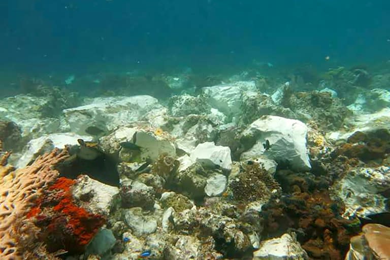 The Caledonian Sky cruise ship slammed into the reefs at low tide around Kri, one of hundreds of small islands in a pristine region of Indonesia