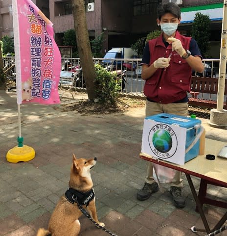 新北動保處在中和區民有公園辦理狂犬病疫苗巡迴注射活動。    圖：新北市動保處提供