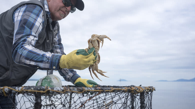 man holds live crab