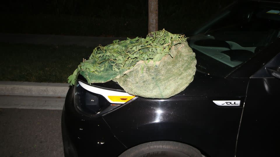 Some of the burglary suspects have used ghillie suits, like the one seen here, to camouflage their movements. - Orange County D.A.