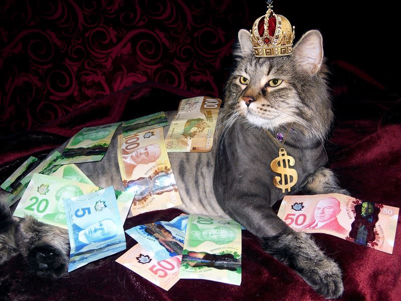 日本理財大師山光昭在《養成有錢體質》書中曝光「無痛存錢法」，掌握「黃金比例」，你就是有錢人。（圖／翻攝自pixabay）