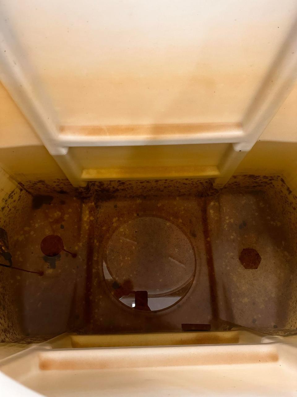 An inside look of Rebecca Wynn's water tank, filled with "yellow, pee-ish" coloured water. 