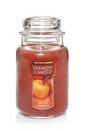 <p><strong>Yankee Candle</strong></p><p>amazon.com</p><p><strong>$24.97</strong></p><p><a href="https://www.amazon.com/dp/B000W3V8S8?tag=syn-yahoo-20&ascsubtag=%5Bartid%7C10050.g.22221887%5Bsrc%7Cyahoo-us" rel="nofollow noopener" target="_blank" data-ylk="slk:Shop Now;elm:context_link;itc:0;sec:content-canvas" class="link ">Shop Now</a></p><p>Surround yourself with the scent of the season while you <a href="https://www.countryliving.com/diy-crafts/g1350/pumpkin-decorating-1009/" rel="nofollow noopener" target="_blank" data-ylk="slk:carve jack-o’-lanterns;elm:context_link;itc:0;sec:content-canvas" class="link ">carve jack-o’-lanterns</a> with your family.</p>