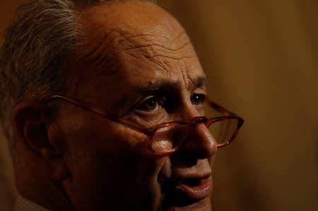 U.S. Senate Democratic Leader Chuck Schumer (D-NY) speaks to reporters after the weekly Senate policy lunches in the U.S. Capitol in Washington