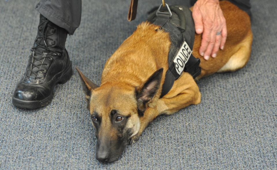 Retired Yarmouth Police officer Peter McClelland, with Sgt. Sean Gannon's dog Nero at the Yarmouth Police Station in May 2018.
