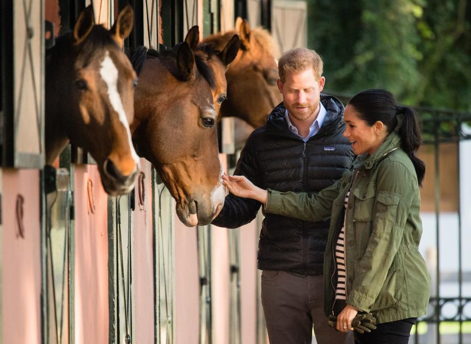 Meghan and Harry meet horses.