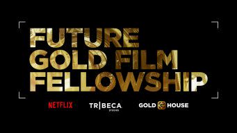 Future Gold Film Fellowship