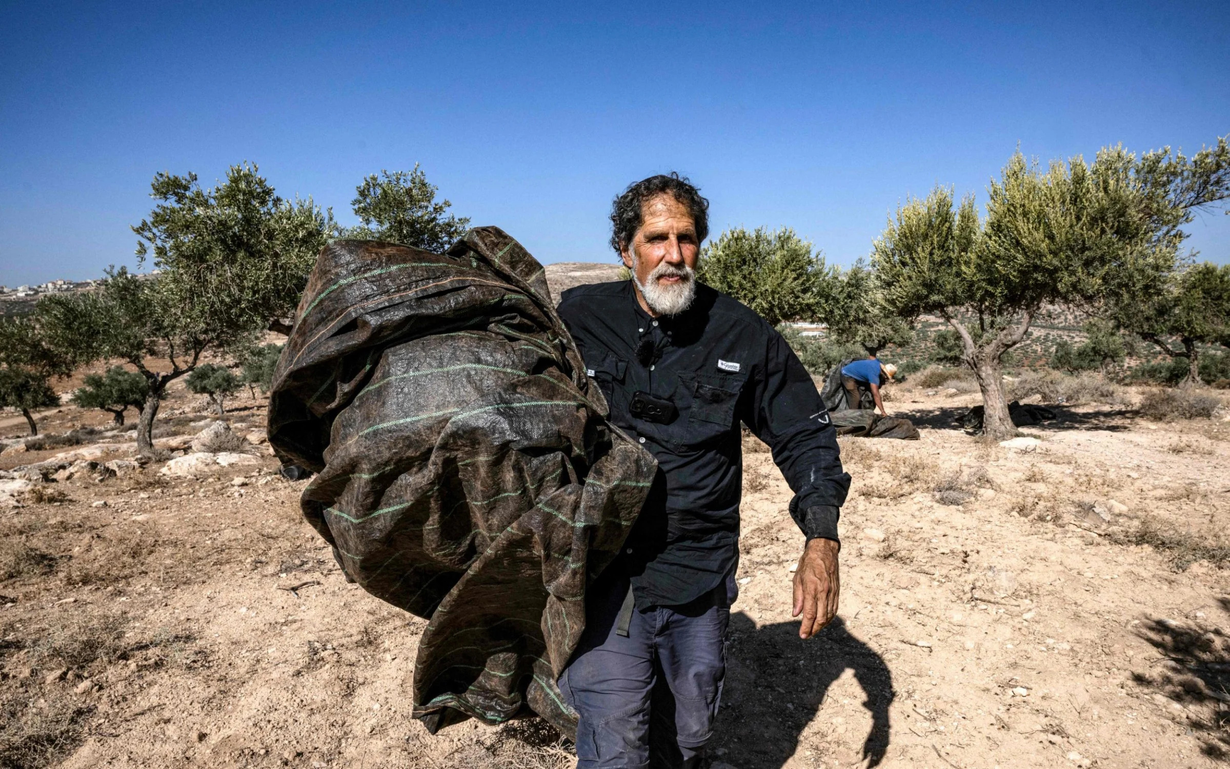 Rabbi Arik Ascherman, a member of Rabbis for Human Rights, helps Palestinians during the olive harvest outside Ramallah in the West Bank