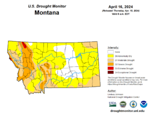 The U.S. Drought Monitor report for Montana published April 16, 2024. (Source: U.S. Drought Monitor)