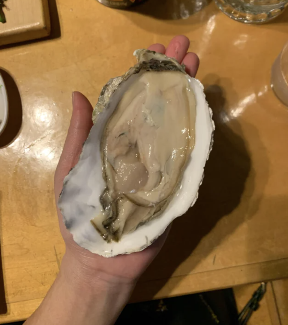 A person is holding a giant oyster