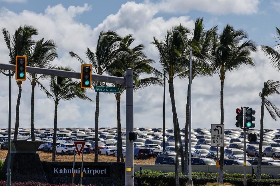 Cars parked in a lot, with a row of palm trees and a sign for Kahului Airport in the foreground