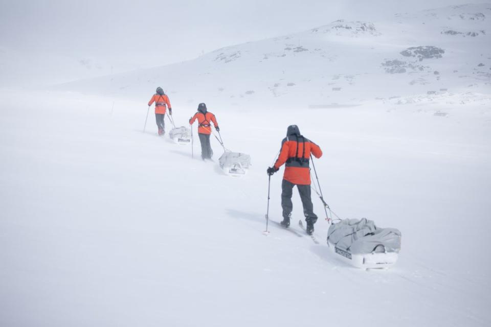 Adventurers drag their pulk sleds through the snow (Amelia Steele)