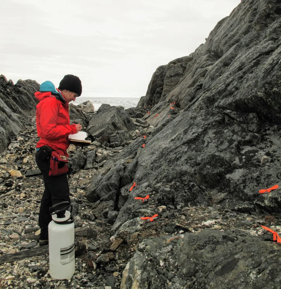 A person stands amid a rock formation, wearing a red jacket.