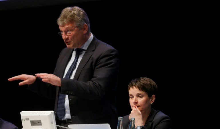 Petry and Meuthen are battling for the soul of the AfD party