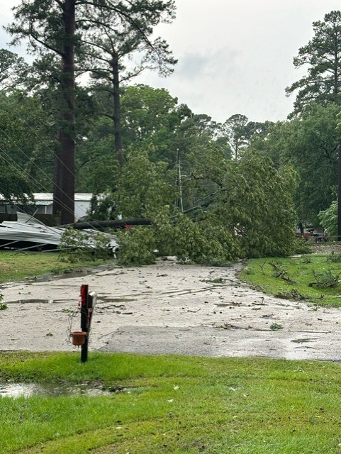 Storm damage in Frankston on Tuesday morning