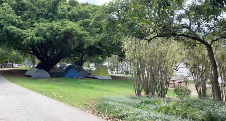 Tents huddled under a tree in Brisbane. 