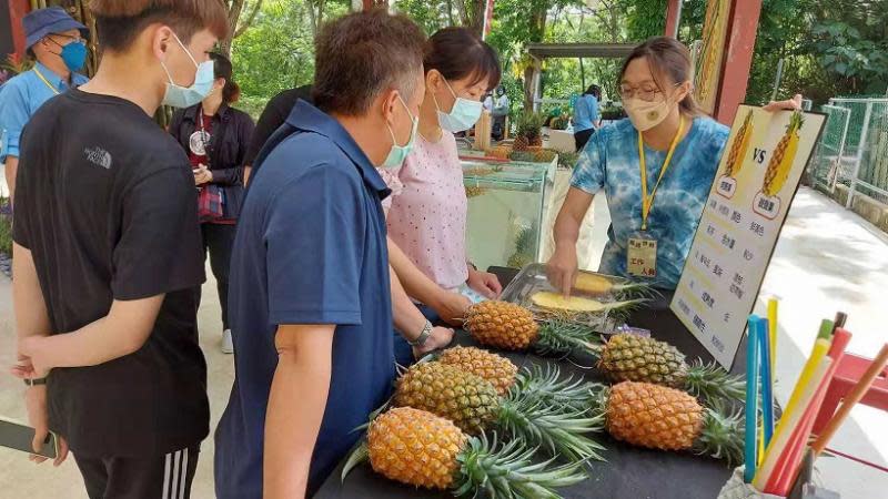 鳯梨食農教育免費學　5/20-21嘉大蘭潭校區開課