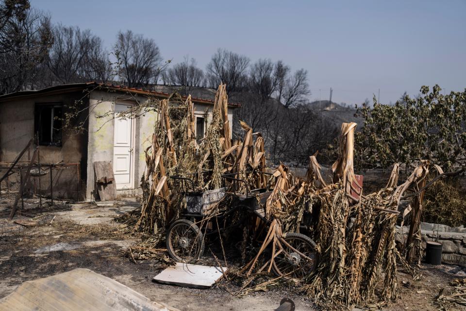 Burnt trees and vegetation are seen after a wildfire near Gennadi village, on the Aegean Sea island of Rhodes (AP)