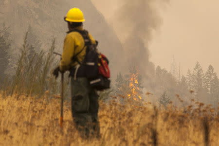 Manager of the Sinlahekin Wildlife Area Justin Haug keeps an eye on the Okanogan Complex fire as it burns through the Sinlahekin Wildlife Area near Loomis, Washington, August 25, 2015. REUTERS/David Ryder