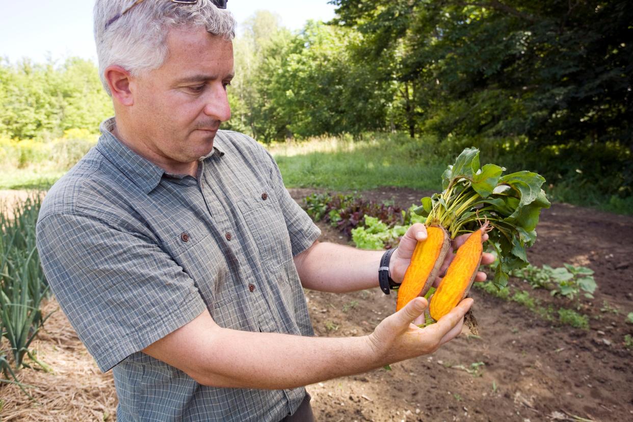 Irwin Goldman holds two Badger Flame Beets, a sweet beet he developed as a professor at the University of Wisconsin-Madison.