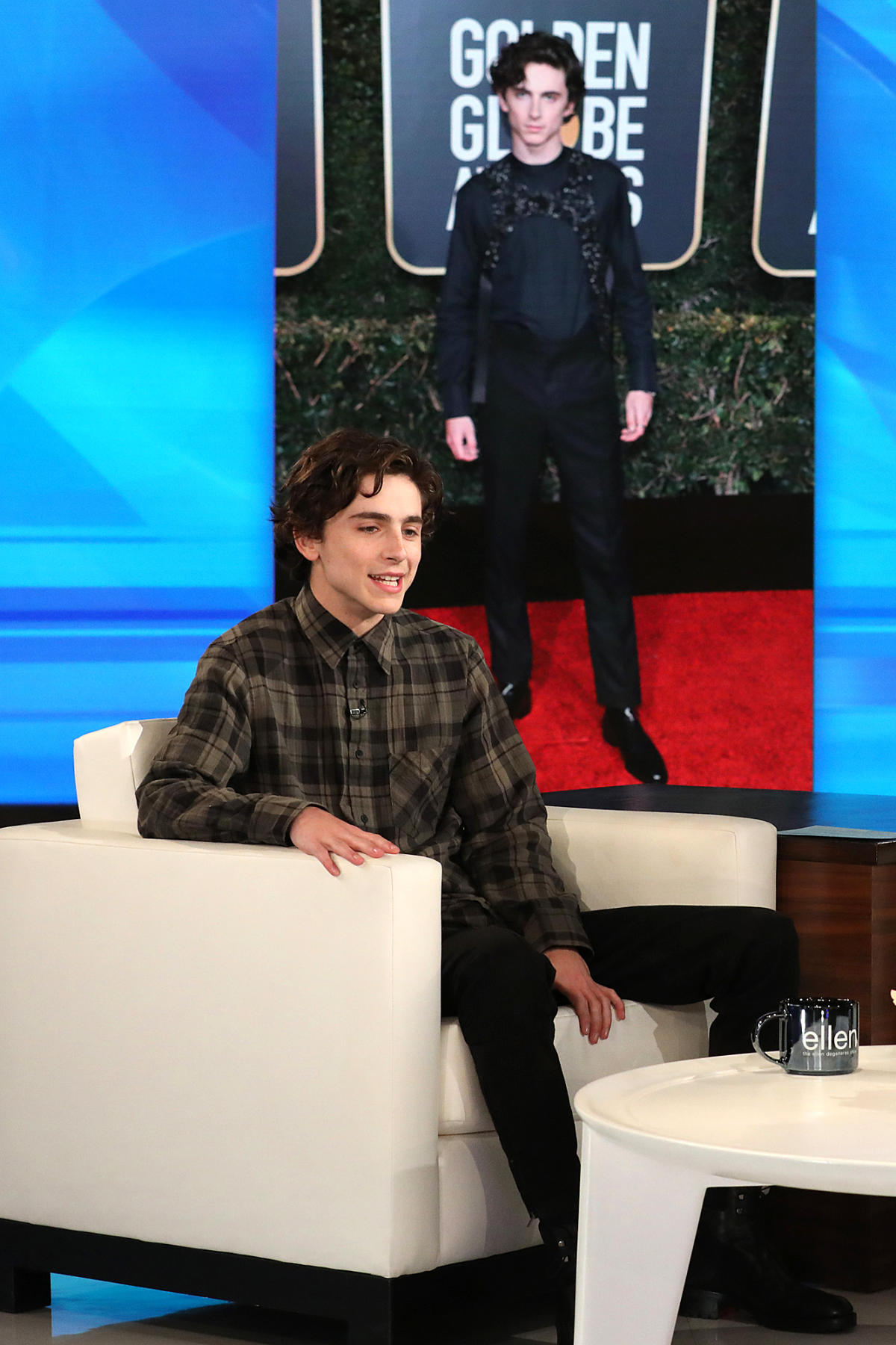 Timothée Chalamet Wants You to Know That He Wasn't Wearing a Harness at the  2019 Golden Globes