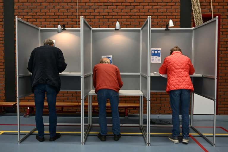 European Parliament elections kicked off in the Netherlands on Thursday (JOHN THYS)