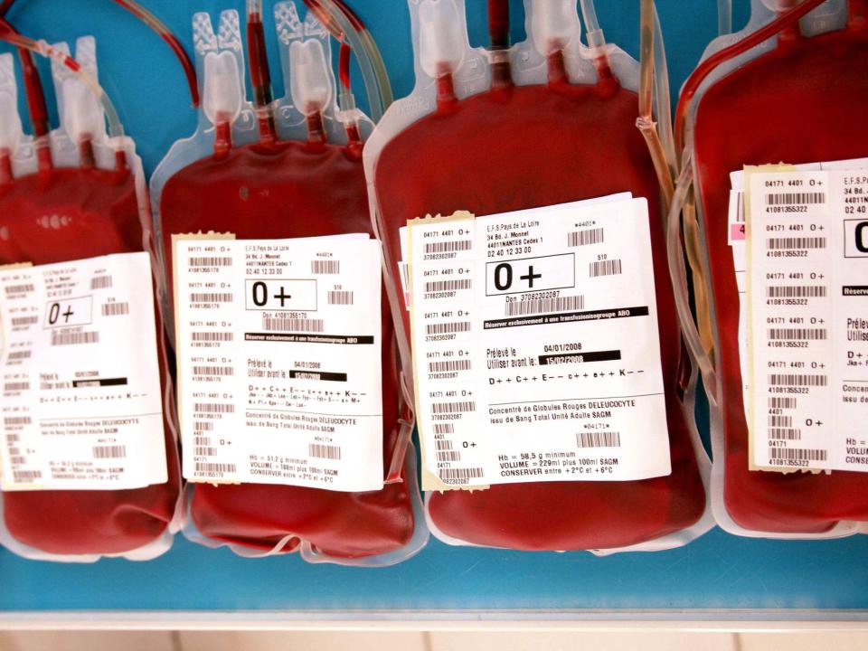 <p>Blood plasma from UK donors will be allowed to be used in medications for the first time since 1998</p> (Rex)