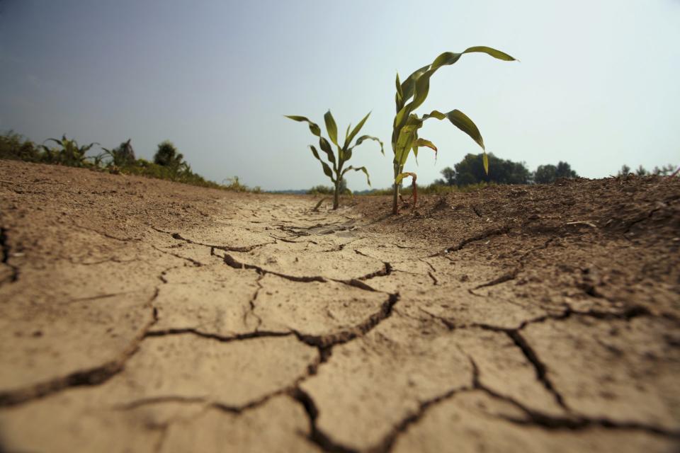 actualidad  -marzo 2023 - sequia - falta de lluvia - campo - istock-182892938