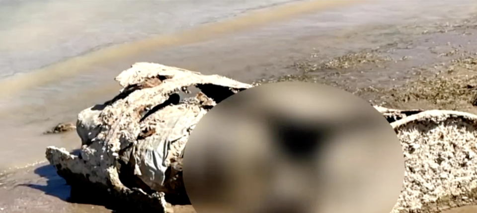 The barrel where a body was found on the shore of Lake Mead earlier this year (Fox 5 News)