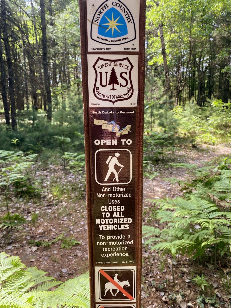 A North Country Trail sign captured by Jim and Elijah Pool during their 52-mile hike in the Manistee National Forest in the northern part of the Lower Peninsula.