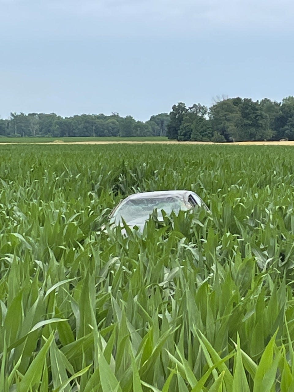The teenage driver of this Honda Accord lost control on Carroll County Road 200 East. The car left the road, rolled into a cornfield. The driver was killed. Her passenger is in serious condition.