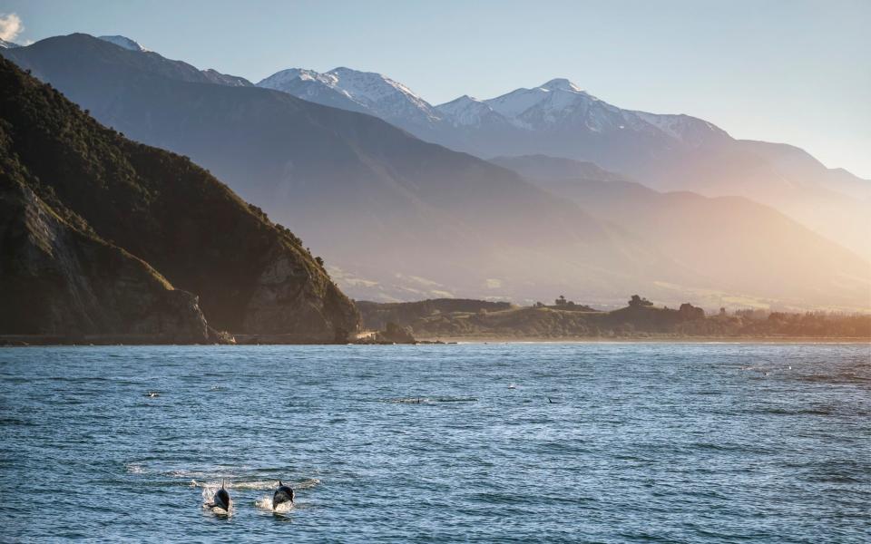 Kaikōura's coast