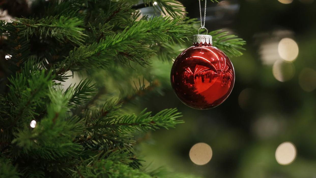 A Christmas bauble hangs from a tree