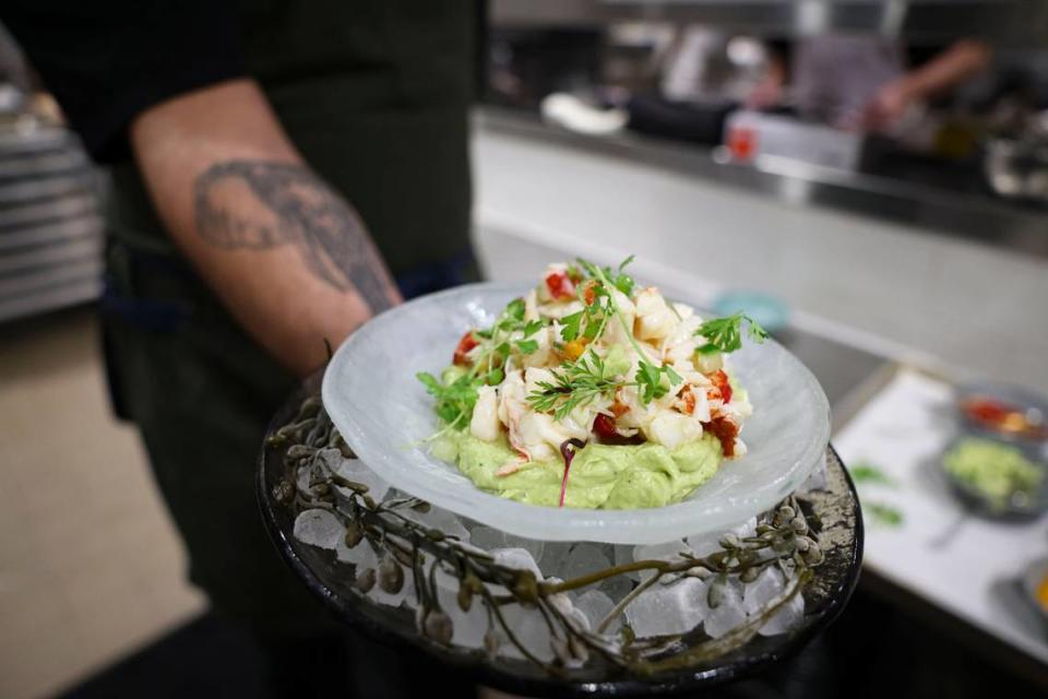 El chef Fabrizio Garofolin muestra uno de los platos más solicitados en Aba, el hummus de aguacate con langosta de Maine, en el que resalta la combinación del garbanzo fresco, el aguacate y la langosta. 