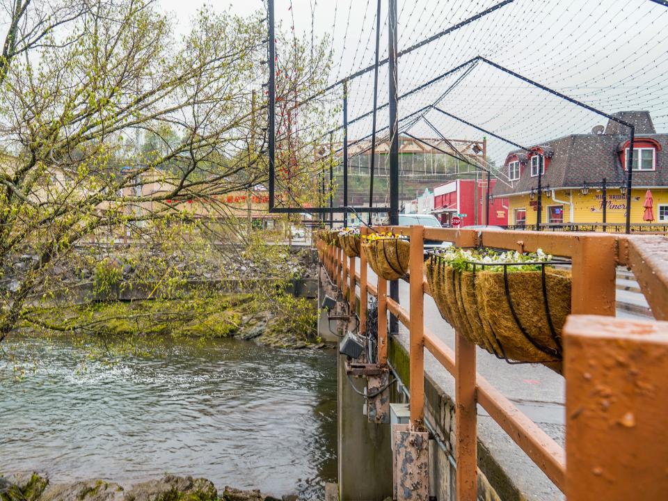 A tree and a tree on the left and a bridge with a red fence on the right