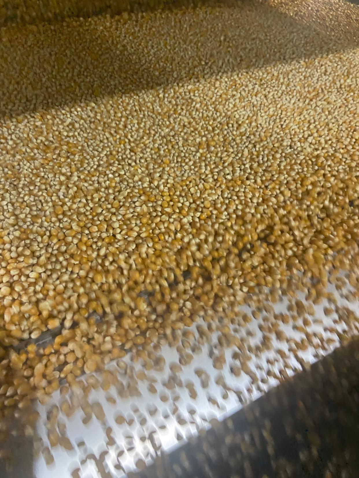 Poppy Handcrafted Popcorn founder, Ginger Frank, visited Reist Popcorn Co.'s farm in Pennsylvania, where the Asheville-based snack company sources its popping corn.