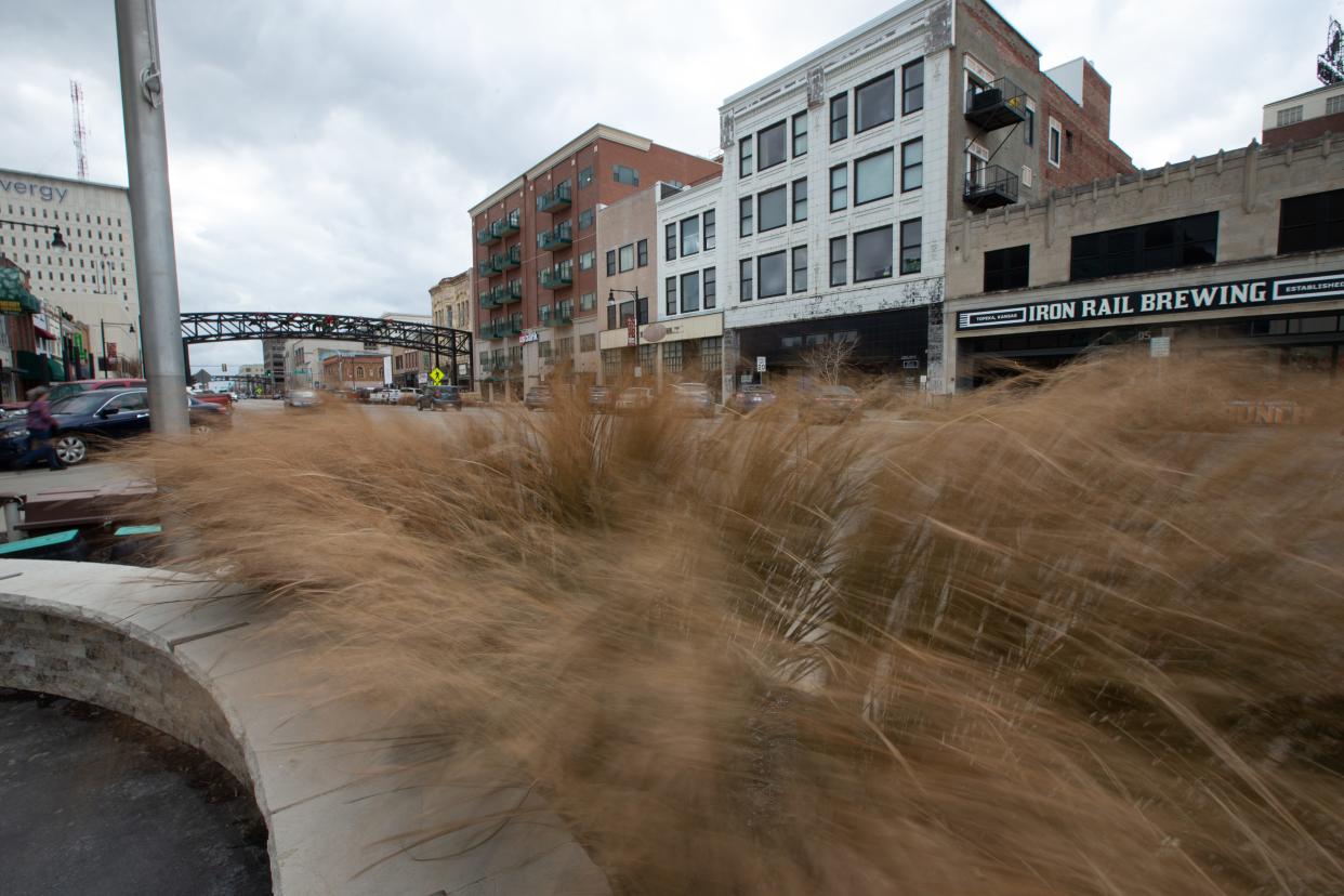 Long native grass show high winds whipping through downtown Topeka in December. Kansas is breaking records in the number of high wind warnings issued in 2022.