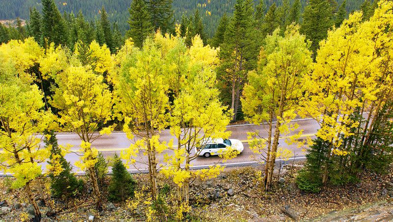 A car drives through Rocky Mountain National Park alongside colorful fall leaves.
