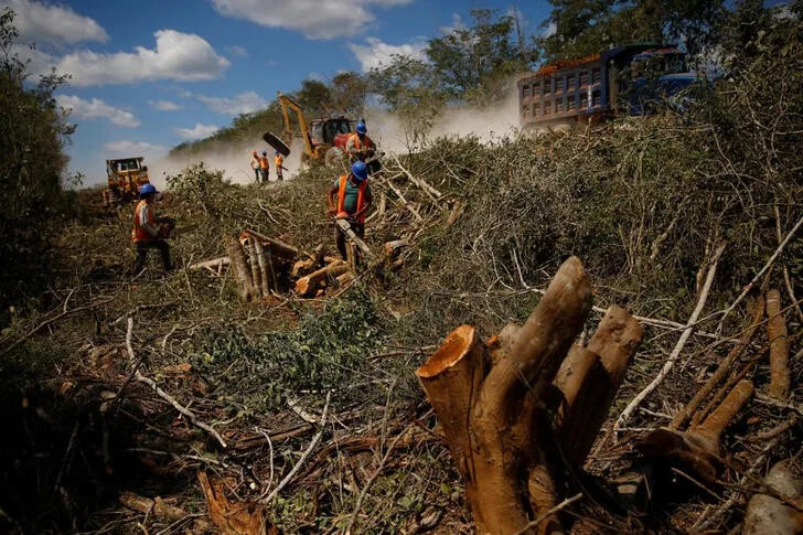 Los trabajadores limpian árboles para la construcción de la sección 4 de la nueva ruta del Tren Maya, cerca de Nuevo Xcan, Chemax, México