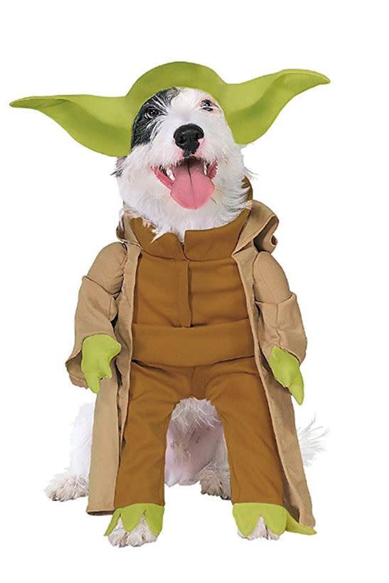 Yoda Costume