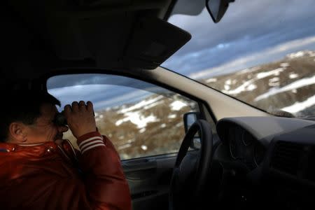 Sami reindeer herder Nils Mathis Sara, 60, uses binoculars to search for reindeer near Kvalsund, Norway, June 14, 2018. REUTERS/Stoyan Nenov/Files