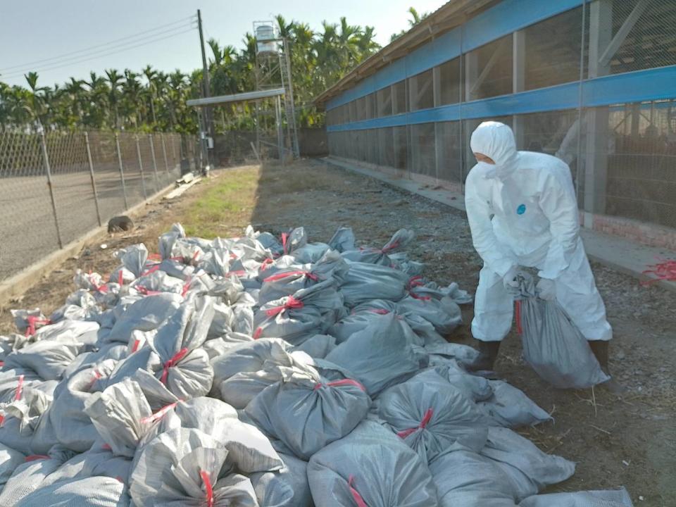 屏東縣鹽埔鄉1處土雞場感染H5N1亞型高病原禽流感病毒。   圖: 屏東縣政府提供