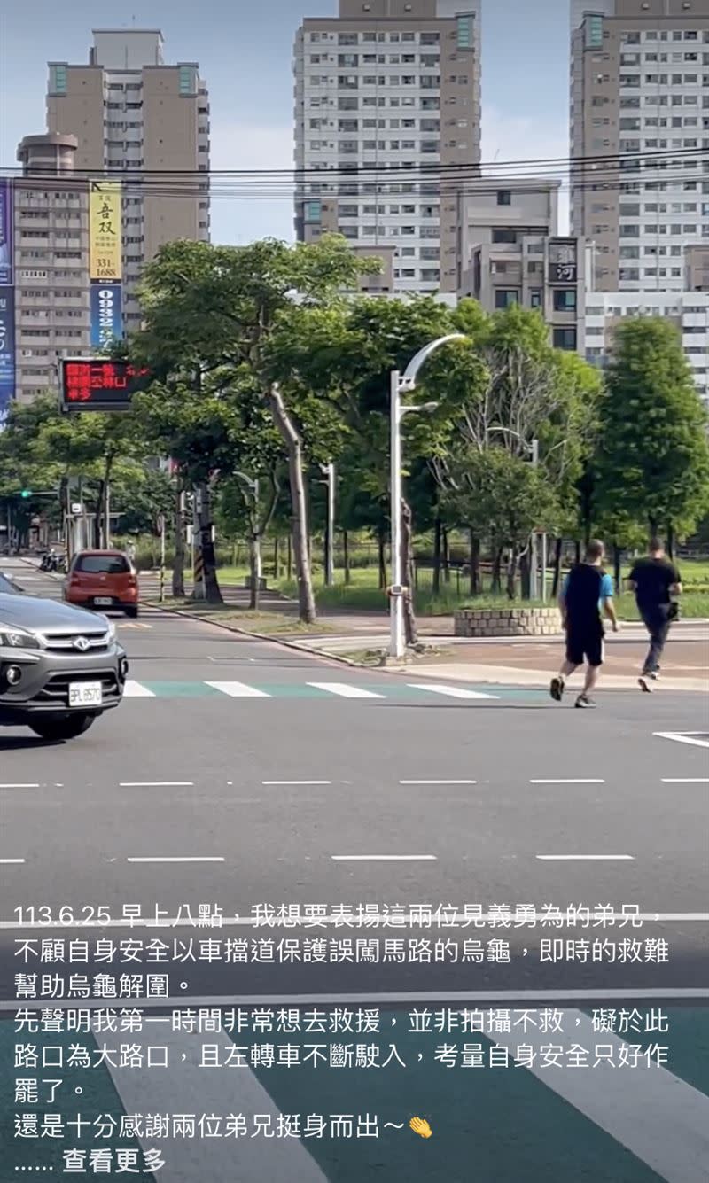 好心民眾下車把烏龜送回一旁的公園。（圖／翻攝自《爆料公社》）