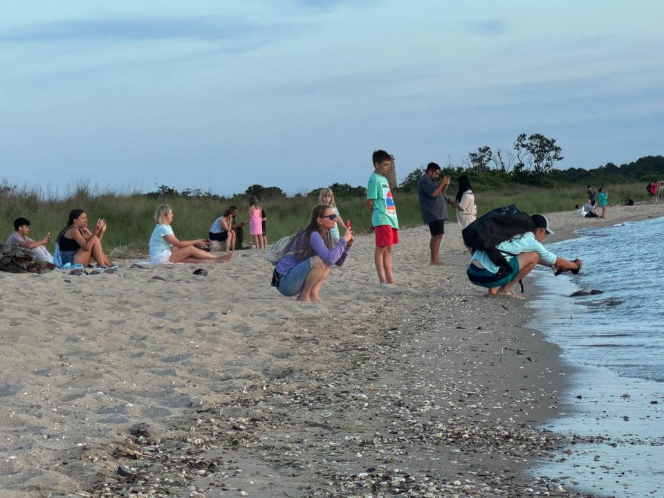 Sunset watchers and horseshoe crab photographers at The Point at Cape Henlopen State Park Wednesday, June 19, 2024.